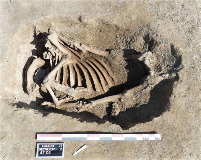 Fig. 12 : Fosse contenant le squelette de la vache en cours de fouille . Crédit : Éveha, 2021.